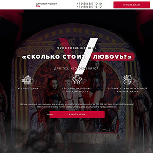 Сайт и реклама циркового шоу Яны Шевченко